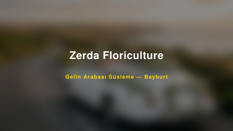 Zerda Floriculture Gelin Arabası Süsleme Fiyatları